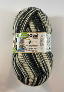  Opal Pullover & Sockenwolle Yarn