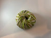 Lana Grossa Colortwist Yarn