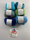 Berroco Yarn Tasting Kit