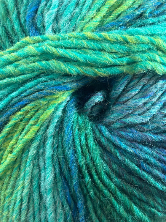 Jody Long Colorspun Yarn