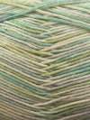 Cascade Pandamonium Multis Yarn