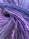 Jody Long Colorspun Yarn