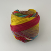 Laines du Nord Infinity Sock Yarn