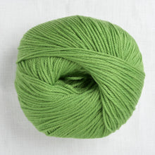  Cascade 220 Superwash Yarn